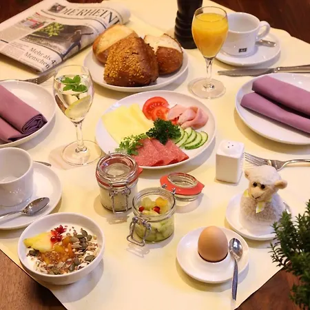 Отель Garni-hotel Goldenes Lamm Dudenhofen