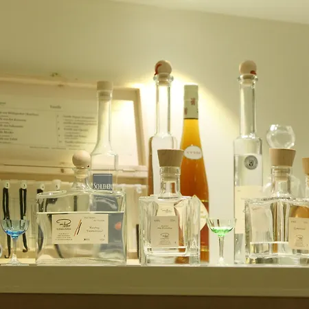 Отель Garni-hotel Goldenes Lamm 3*