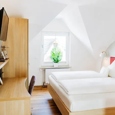 Goldenes Lamm Hotel 3*